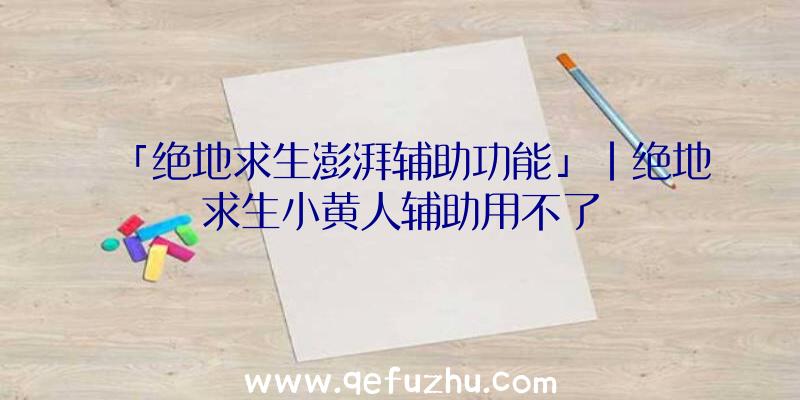 「绝地求生澎湃辅助功能」|绝地求生小黄人辅助用不了